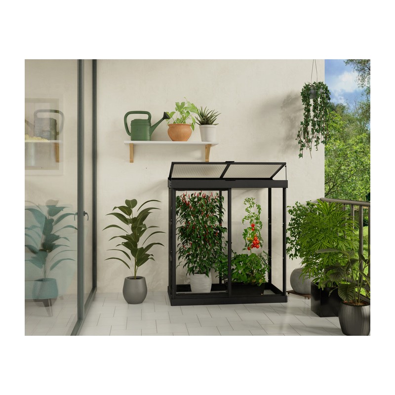 Palram - Canopia Ivy 4' x 2' Mini Greenhouse - Black (HG4900)