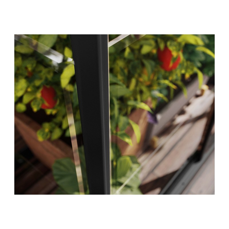 Palram - Canopia Ivy 4' x 2' Mini Greenhouse - Black (HG4900)