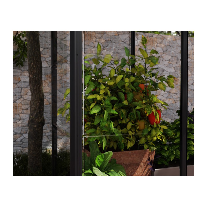 Palram - Canopia Ivy 4' x 2' Mini Greenhouse - Black (HG4900)