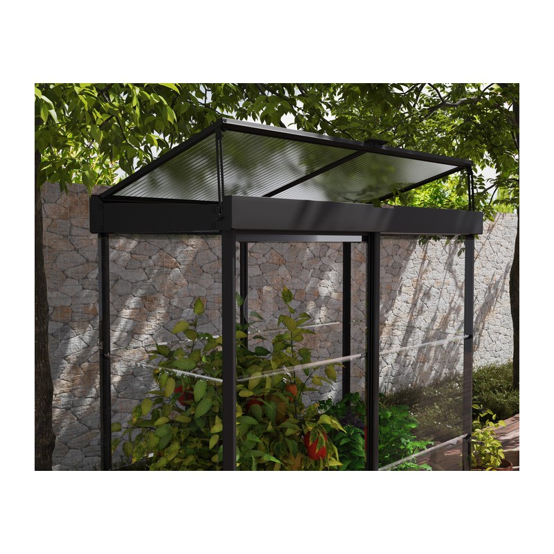 Palram - Canopia Ivy 4' x 2' Mini Greenhouse - Black (HG4900)