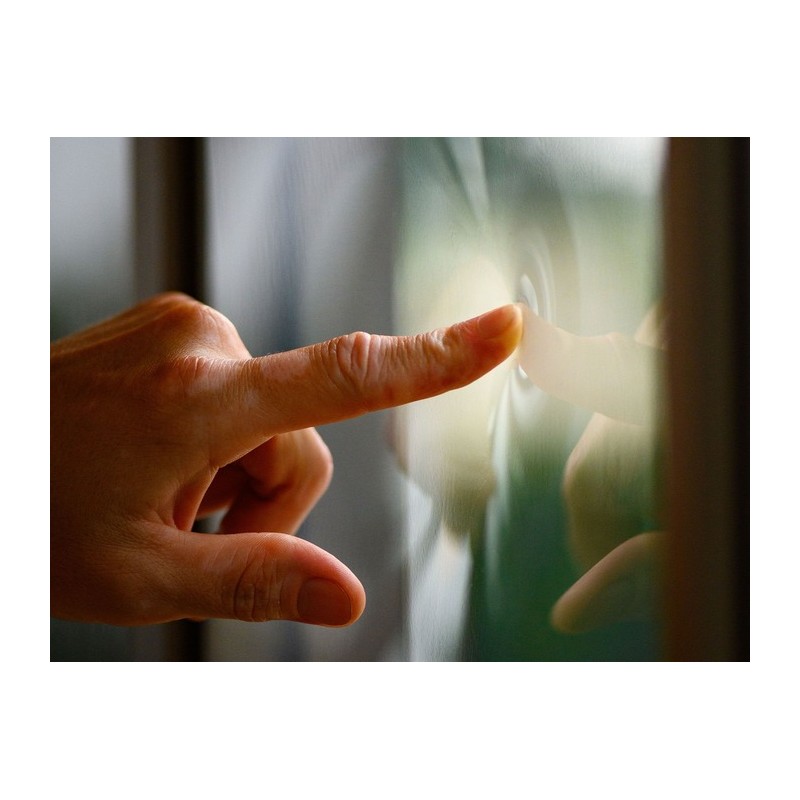 Gazebo Penguin Florence - Wall Mounted Solarium 10x12 Polycarbonate Roof - Gray (W1209-32)