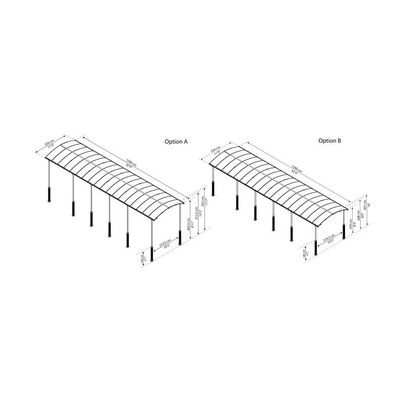 Palram - Canopia Arcadia Alpine 12x42 Carport Kit (HG9129)