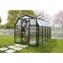 Rion  6x10 EcoGrow 2 Twin Wall Greenhouse Kit (HG7010)