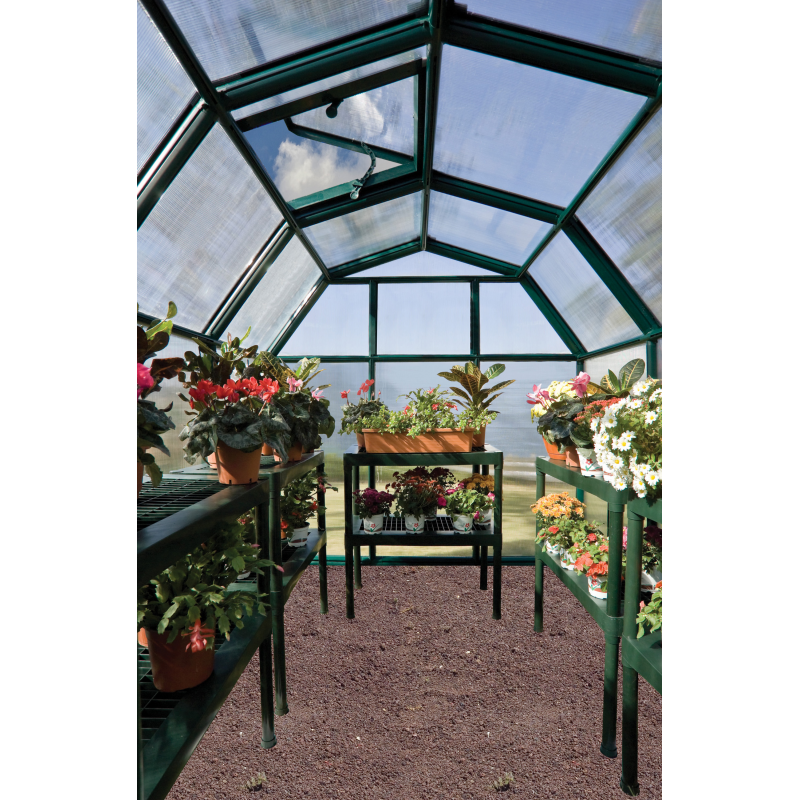 Rion  6x10 EcoGrow 2 Twin Wall Greenhouse Kit (HG7010)