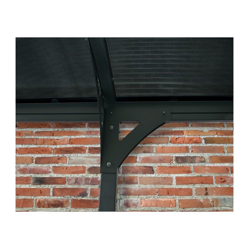 Palram - Canopia Vitoria 5000 16x9.5 Carport Kit - Gray / Gray (HG9130)