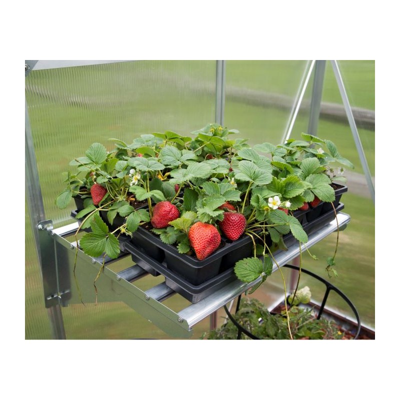 Palram - Canopia Heavy Duty Shelf Kit (HG1019)