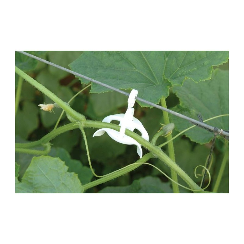 Palram - Canopia Trellising Kit Pro (HG1024)