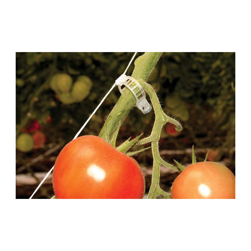 Palram - Canopia Trellising Kit Pro (HG1024)