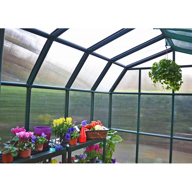 Palram - Canopia 8x8 Grand Gardener 2 Twin Wall Greenhouse (HG7208)