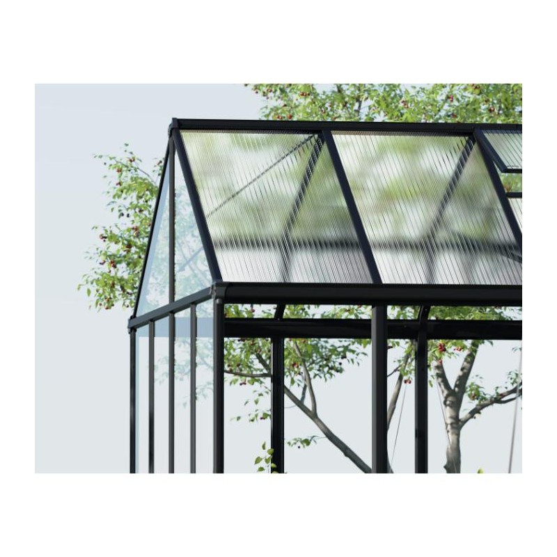 Palram - Canopia Aria 10x20 Greenhouse Kit - Black (HG5730)