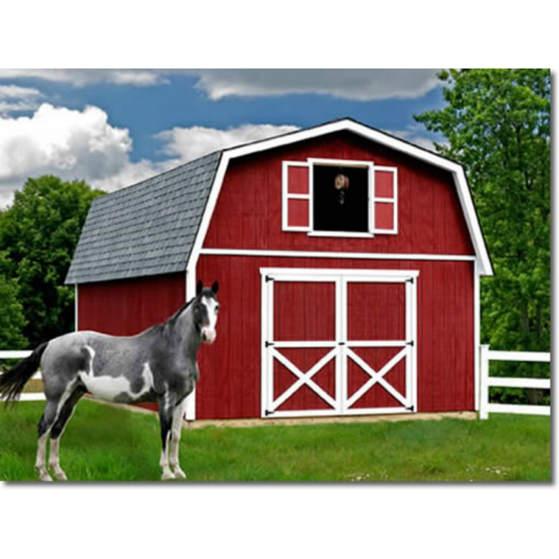 Best Barns Roanoke 16x20 Wood Storage Shed Kit Roanoke1620