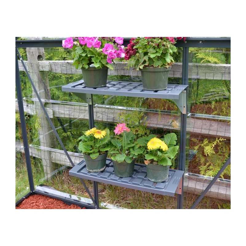 Palram - Canopia Shelf Kit for Greenhouses (HG1007)