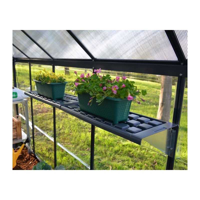Palram - Canopia Shelf Kit for Greenhouses (HG1007)