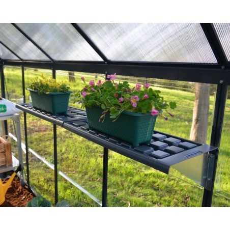 Palram - Canopia Shelf Kit for Greenhouses (HG1007)