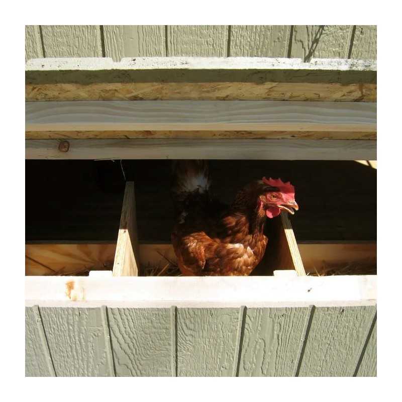 Little Cottage Co Gambrel Barn Coop 6x8 Panelized Wood Chicken Coop (6x8 GBCC-PNK)