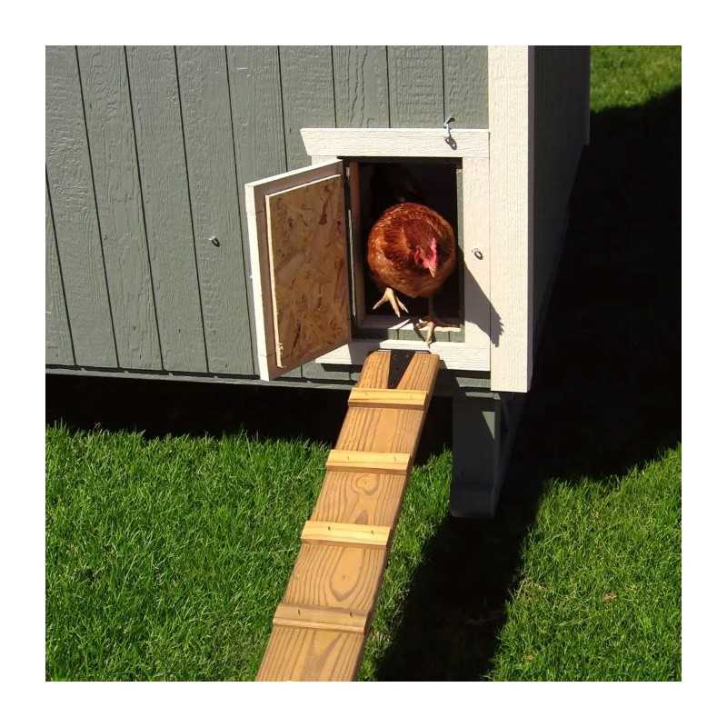 Little Cottage Co Gambrel Barn Coop 6x8 Panelized Wood Chicken Coop (6x8 GBCC-PNK)