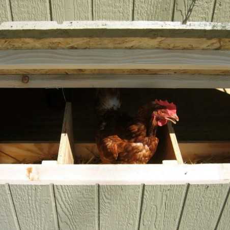 Little Cottage Co. Colonial Gable Coop 4x6 Panelized Wood Chicken Coop (4x6 CGCC-PNK)