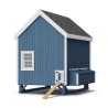 Little Cottage Co. Colonial Gable Coop 6x8 Panelized Wood Chicken Coop (6x8 CGCC-PNK)