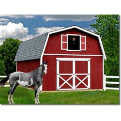 Best Barns Roanoke 16x32 Wood Storage Shed Kit (roanoke1632)