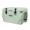 Lifetime 65 Quart High Performance Cooler - Light Sage (91417)
