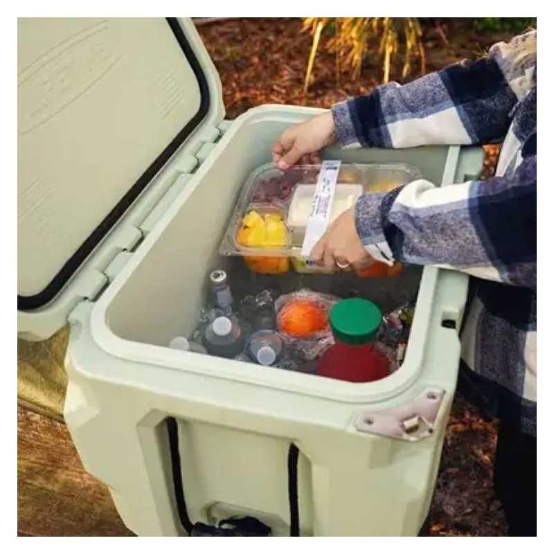 Lifetime 65 Quart High Performance Cooler - Light Sage (91417)