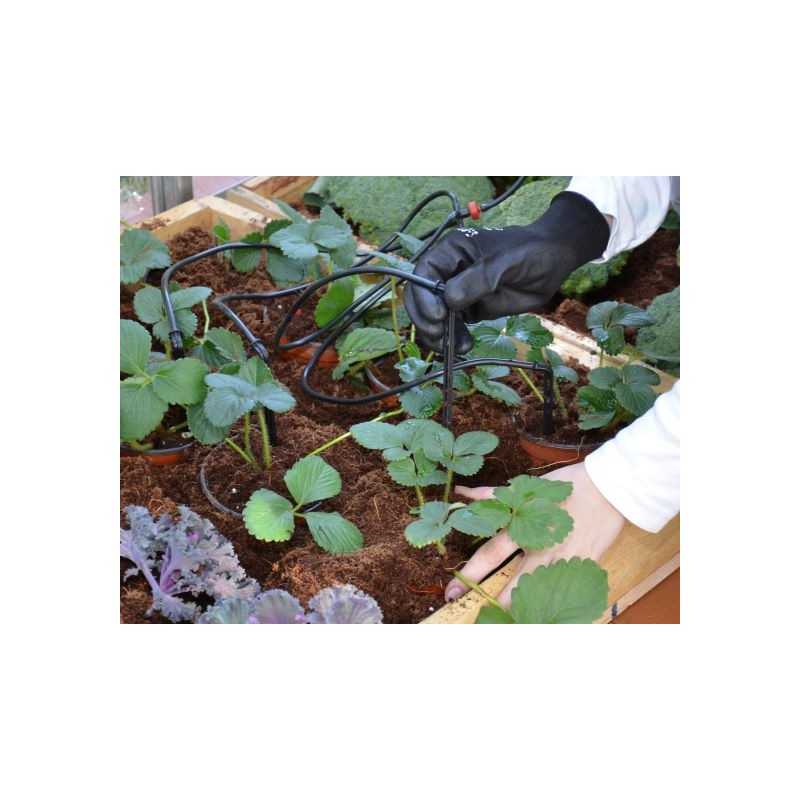 Palram Canopia Greenhouse Accessories Bundle (HGK105)