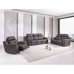 Aolany Three Piece Indoor Genuine Leather Five Person Seating Set