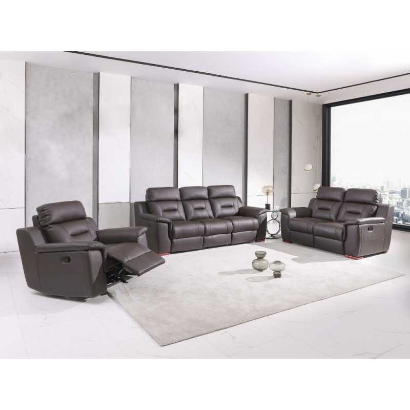 Aolany Three Piece Indoor Genuine Leather Five Person Seating Set