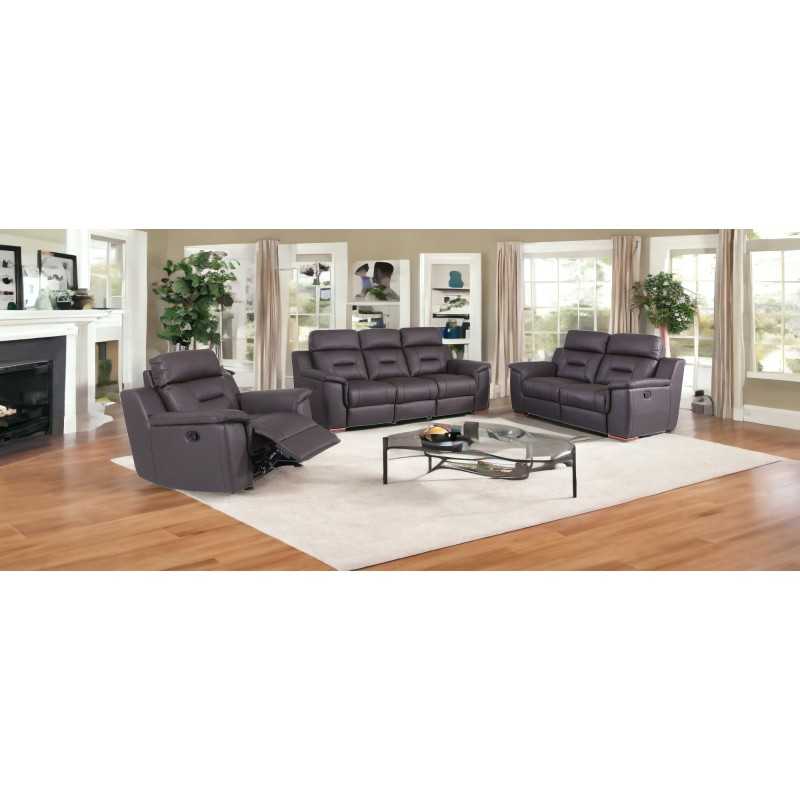 Aolany Three Piece Indoor Genuine Leather Five Person Seating Set