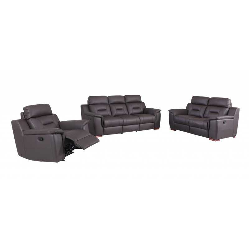 Aolany Three Piece Indoor Genuine Leather Five Person Seating Set