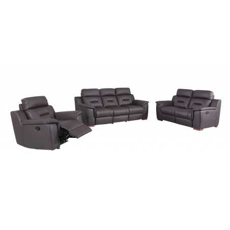 Aolany Three Piece Indoor Genuine Leather Five Person Seating Set