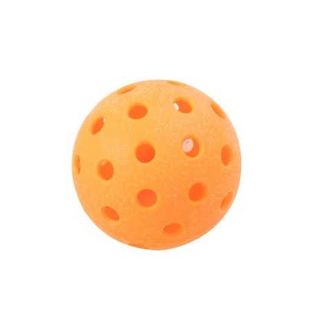 Lifetime Pro Pickleball Set (91062)