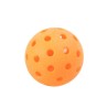 Lifetime Pro Pickleball Set (91062)
