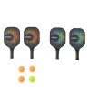 Lifetime Pro Pickleball Set (91062)