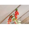 Palram - Canopia Plant Hangers (HG1010)