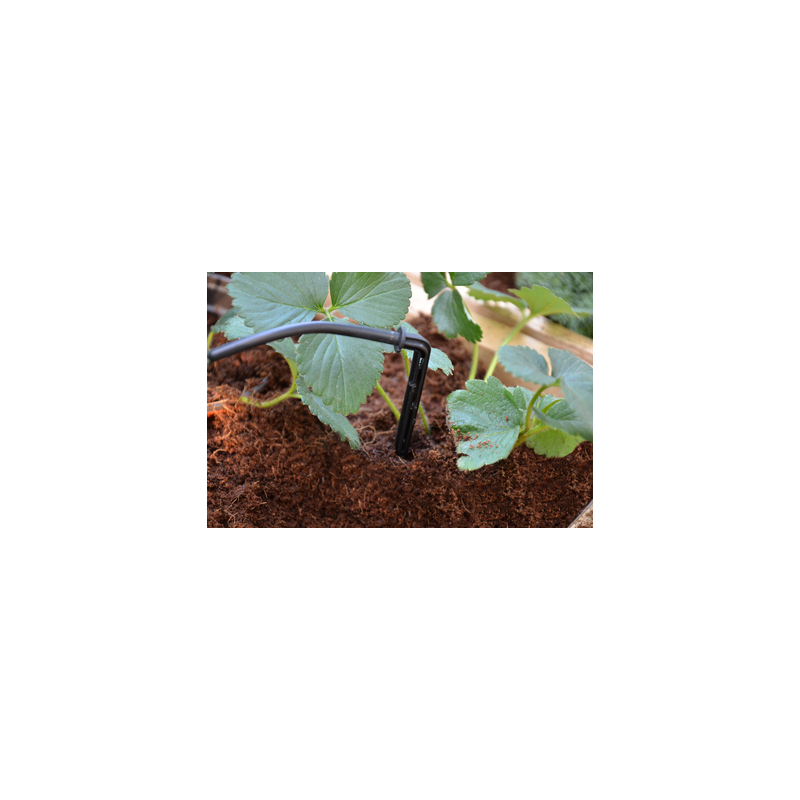 Palram - Canopia Drip Irrigation Kit (HG1023)