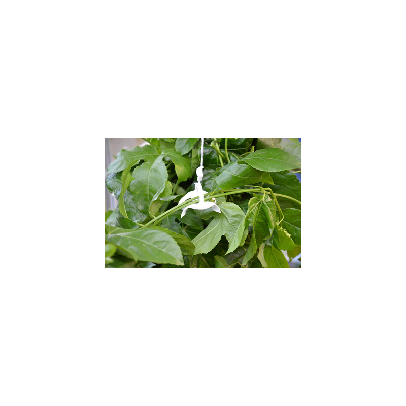 Palram - Canopia Trellising Kit Pro (HG1024)