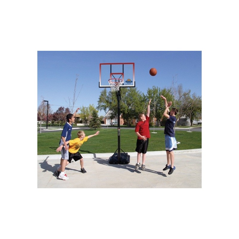 Lifetime 50 in. Portable Basketball Hoop (71566)