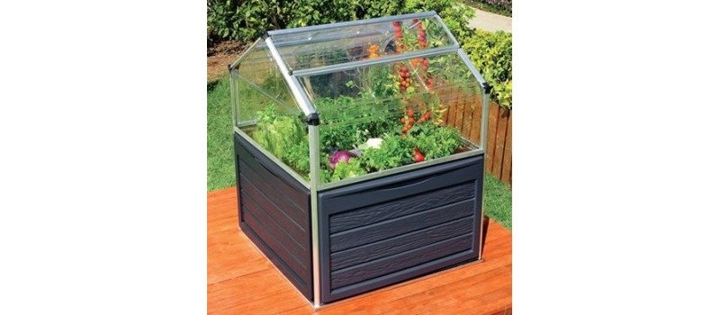 Essential Urban Gardening