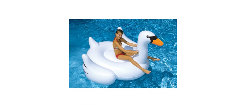 Pool Floats & Toys