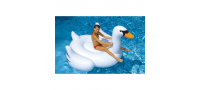 Pool Floats & Toys