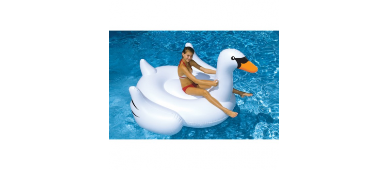 Inflatable Pool Floats & Toys