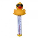 Pool Thermometers category image
