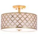 Flush Lighting category image