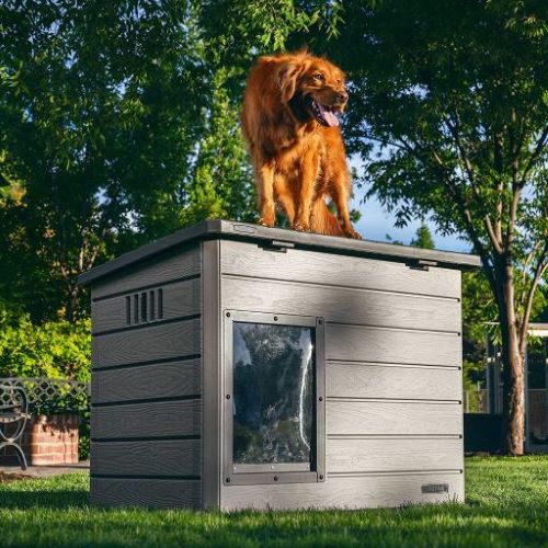 Lifetime Deluxe Large Dog House (60328) This dog house is a perfect home for your dogs. 