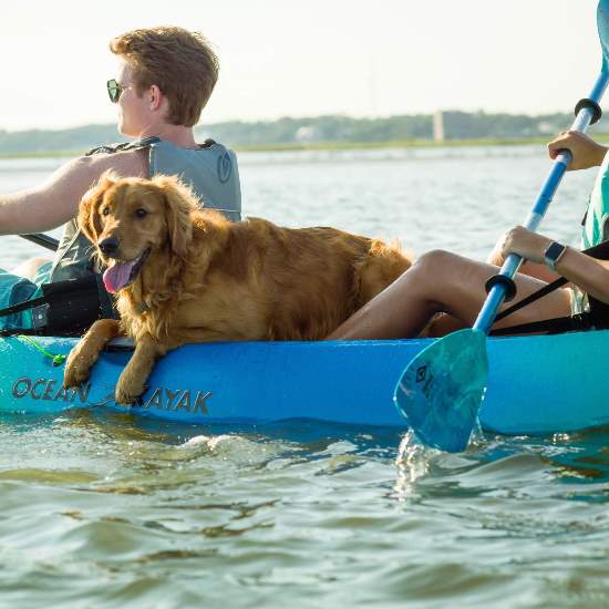 Old Town Carlisle Magic Mystic 230 cm. Aluminum Paddle - Seaglass (01.2509.4094) The best accessory that you can bring on your kayak activity. 