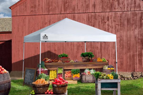 Quik Shade 10x10 Commercial C100 Canopy Kit - White (157398DS)  this canopy can be a great help if you are in the business. 