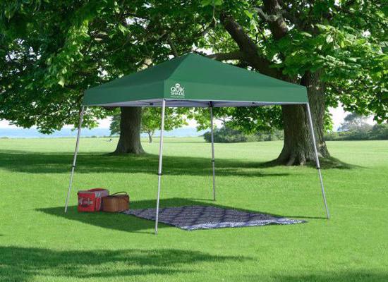 Quik Shade 10x10 Weekender Elite WE64 Canopy Kit - Green (157374DS) Perfect shade for your picnics. 