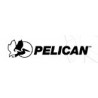 Pelican 