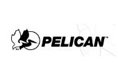 Pelican